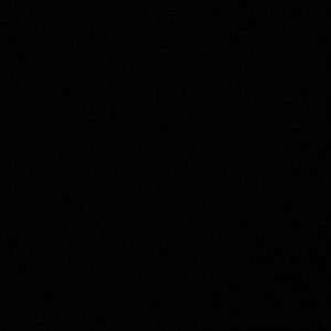 Meet your Posher, Owen